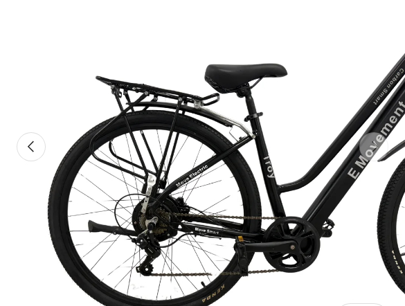 e Movement Troy City Electric Bike Review