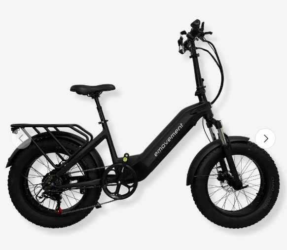 Raven eMovement eBike Review

