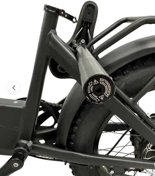 Raven eMovement eBike Review
