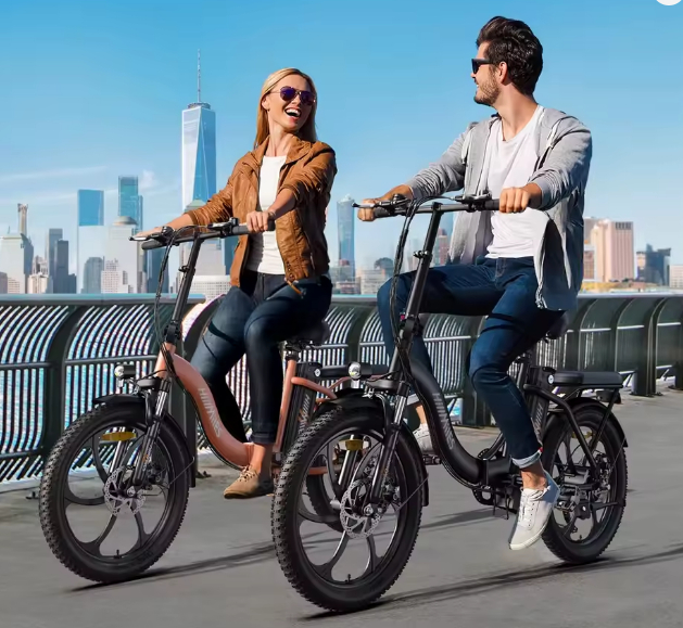 HillMiles MilePort 1
