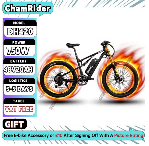 ChamRider DH420
