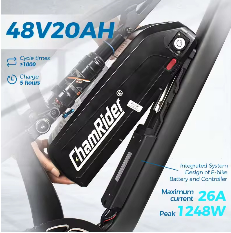 ChamRider DH420
